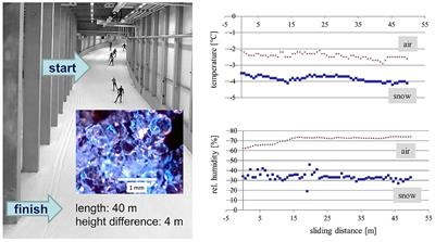 On the Influence of Microtopography on the Sliding Performance of Cross Country Skis